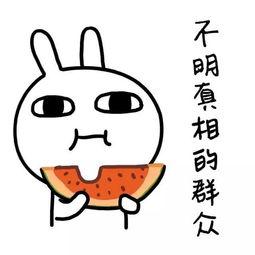 娱乐吃瓜酱谈世面,娱乐吃瓜酱带你领略世间百态